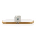 Ontario RCS rplastic 10W dual wireless