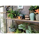 Bamboo X double speaker
