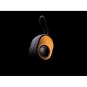 Bamboo X  speaker