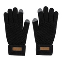Rpet touch screen gloves Demsey