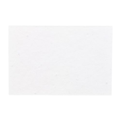 Custom Page Marker CreaStick Seed Page A