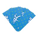 Custom Hand Fan Folbreeze