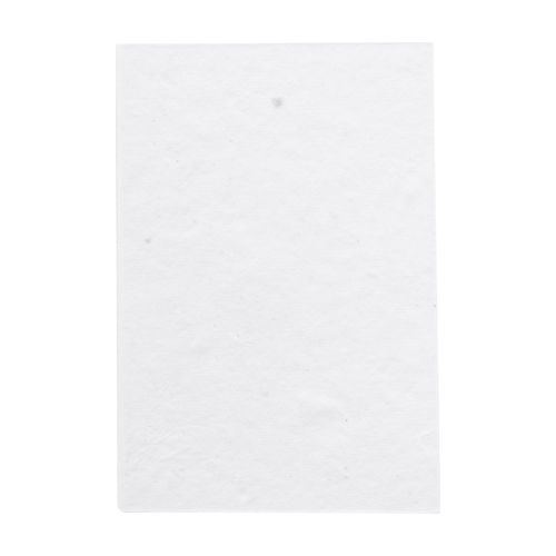 Custom Sticky Notepad CreaStick Seed Note S