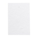 Custom Sticky Notepad CreaStick Seed Note S