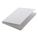 Custom Sticky Notepad CreaStick Seed Note L