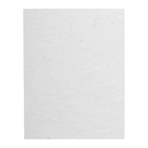 Custom Sticky Notepad CreaStick Seed Note L