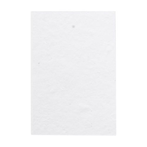Custom Sticky Notepad CreaStick Seed Combo A