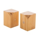 Salt And Pepper Shaker Set Kerala