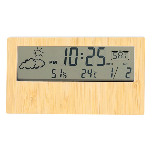 Weather station Roamer