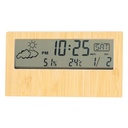 Weather station Roamer