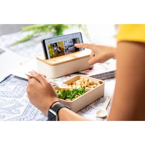 Lunch Box Laksa