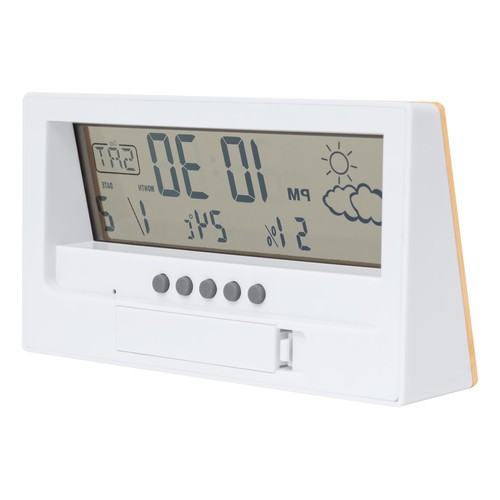 Weather station Roamer