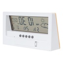 Weather station Roamer