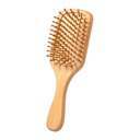 Hairbrush Palau