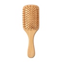 Hairbrush Palau