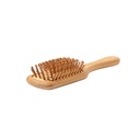 Hairbrush Palau