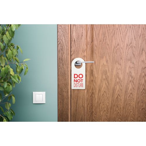 Custom Door Hanger Disturb