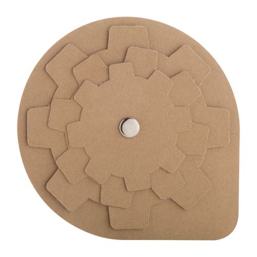 Puzzle Spinalis Eco