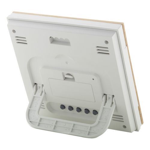 Bamboo Weather Station Boocast