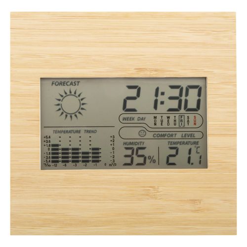 Bamboo Weather Station Boocast
