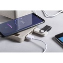 Multifunctional Pen Holder Ampdesk