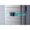 Custom Luggage Belt Terminal II