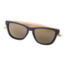 Sunglasses Sunbus