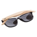 Sunglasses Sunbus