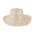 Straw Hat Tropix