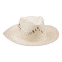 Straw Hat Tropix