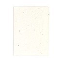 Seed paper sticky notepad Albot