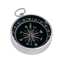 Compass Nansen