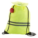 Reflective Bag Carrylight