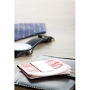 Chromed Money Clip Mercur