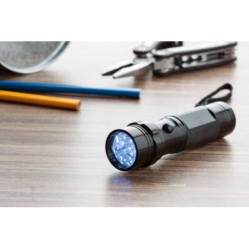 Flashlight Everwood
