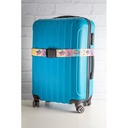 Custom Luggage Belt Terminal