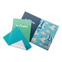 Postcard Glasses Cloth Dioptry Mail