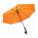 Reflective Rpet Umbrella Thunder Max