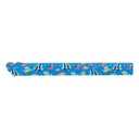 30 Cm Ruler, Heart Couler 30