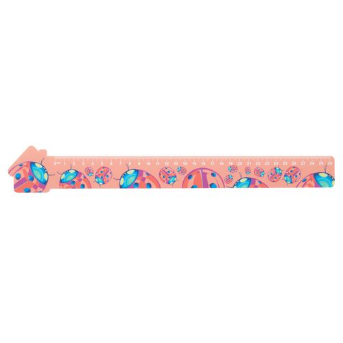 30 Cm Ruler, House Couler 30