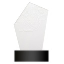 Led Light Trophy Ledify