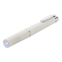 Flashlight Professor