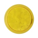 Mint Jar TwistMint