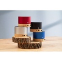 Bluetooth Speaker RalooBeat