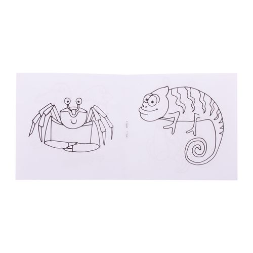 Custom Colouring Set, Animals Coloxil 12