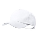 Baseball Cap Pickot