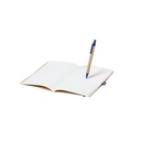 Notebook Ginkgo