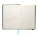 Notebook Andesite