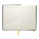 Notebook Andesite