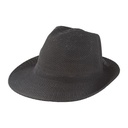Hat Willow